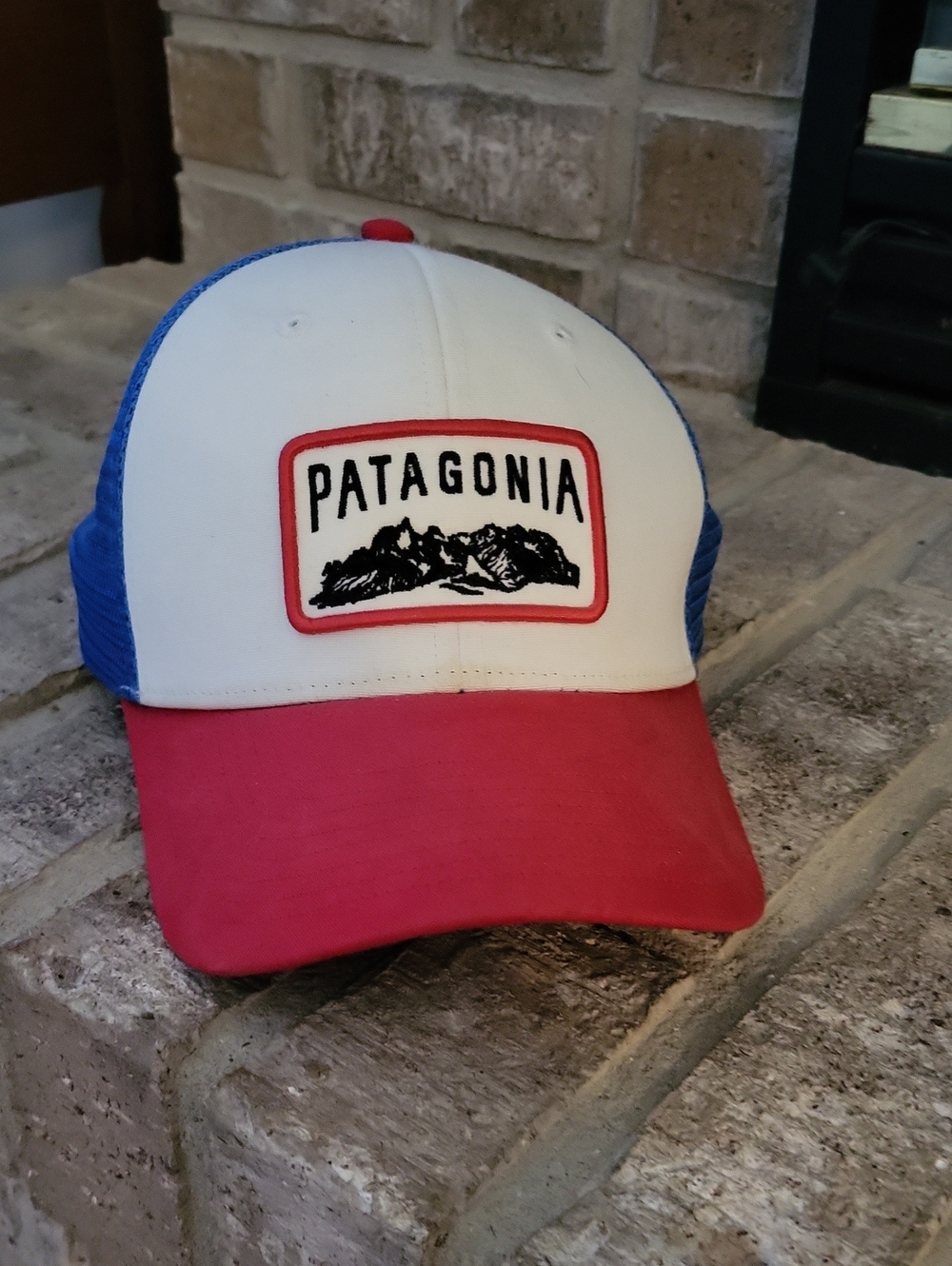 Patagonia CLIMB A MOUNTAIN Trucker Hat Limited Election